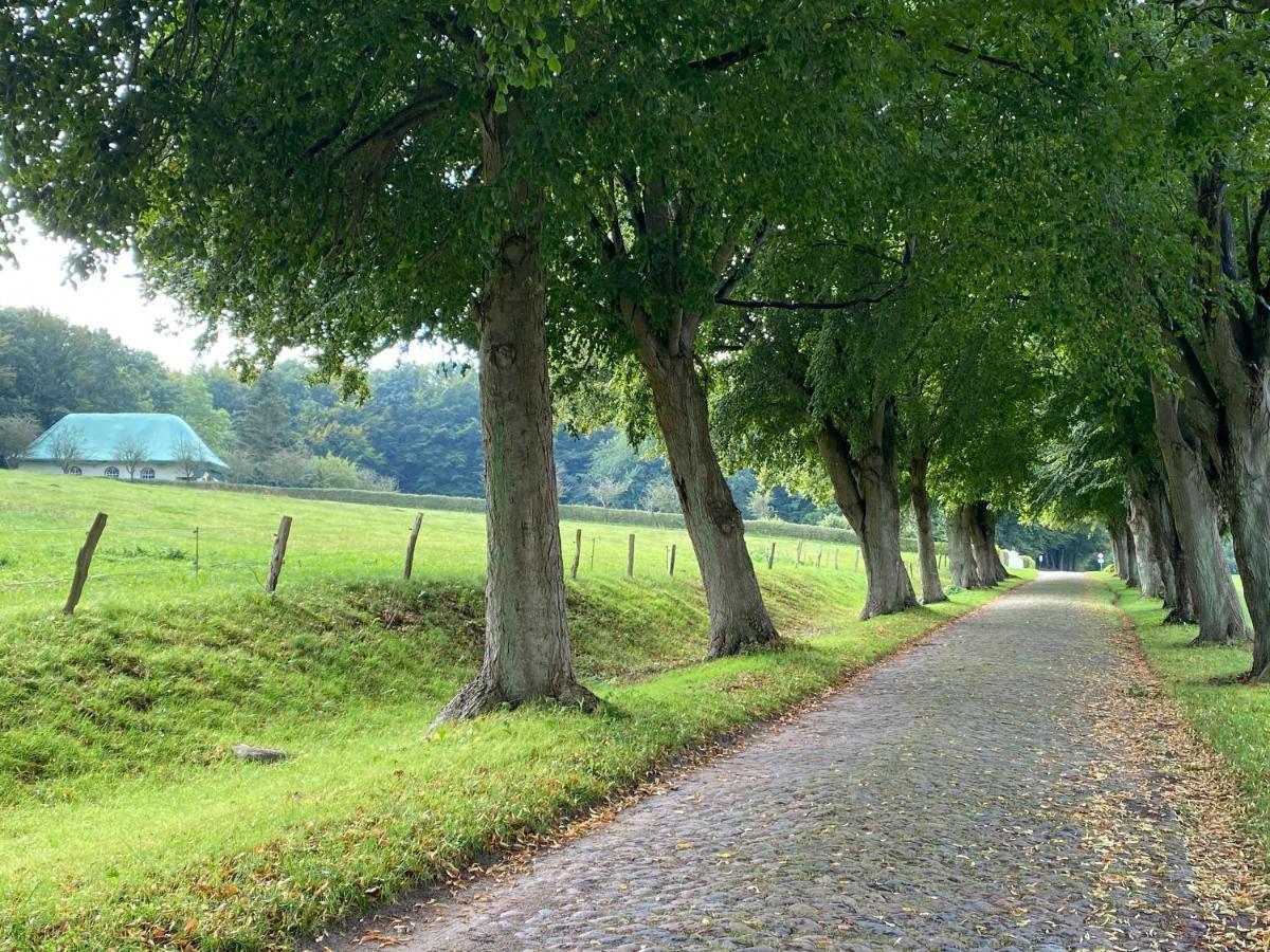 Ferienwohnungen Arkonablick レーメ エクステリア 写真